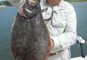 Stuarts-6-plus-pound-flounder-June-21-2013