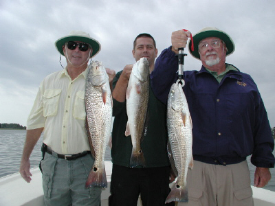 Morgan Group Red Drum October 1 2003