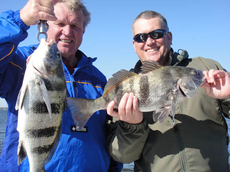 Sean-and-Wolfgang-Nice-Black-Drum-April-10-2010