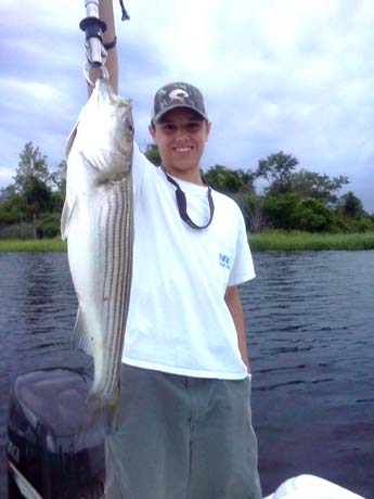 Summer-Striper.jpg